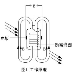 插入式電磁流量計(圖1) 插入式電磁流量計(圖1)